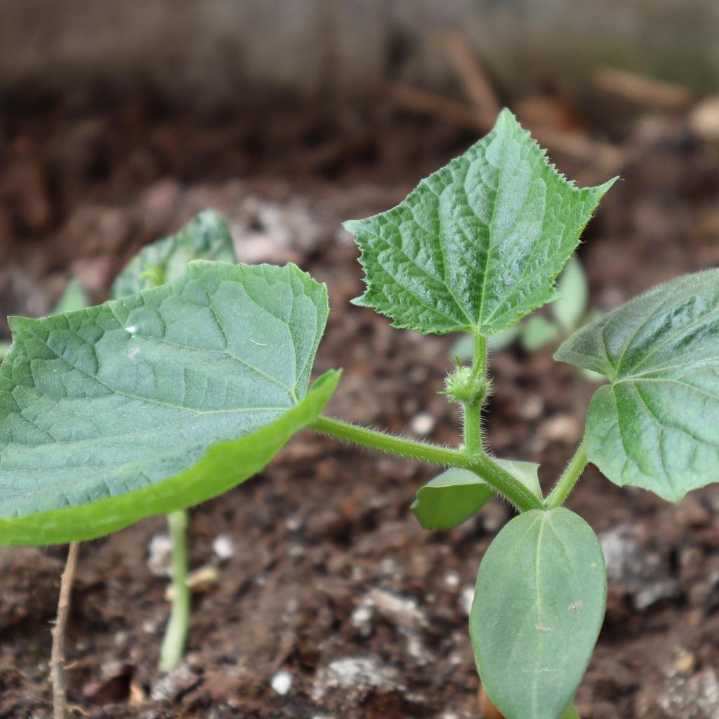 Návrh bez názvu - 2026-03-11T185608.047